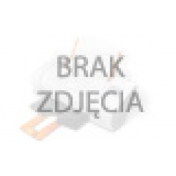 Tusze do drukarki Epson Color Proofer 9000