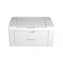 Tonery do drukarki Pantum P2509W