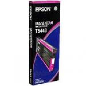 Tusz oryginalny T544300 Purpurowy