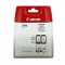 Oryginalny multipak  PG-545/CL-546 (8287B005) do Canon Pixma TS3350