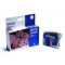 Tusz oryginalny T033640 Light Purpurowy