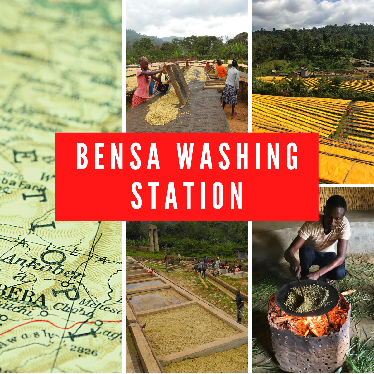 Młyn Bensa Washing Station