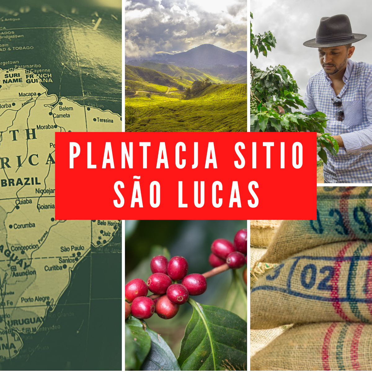 Plantacja Sitio Sao Lucas