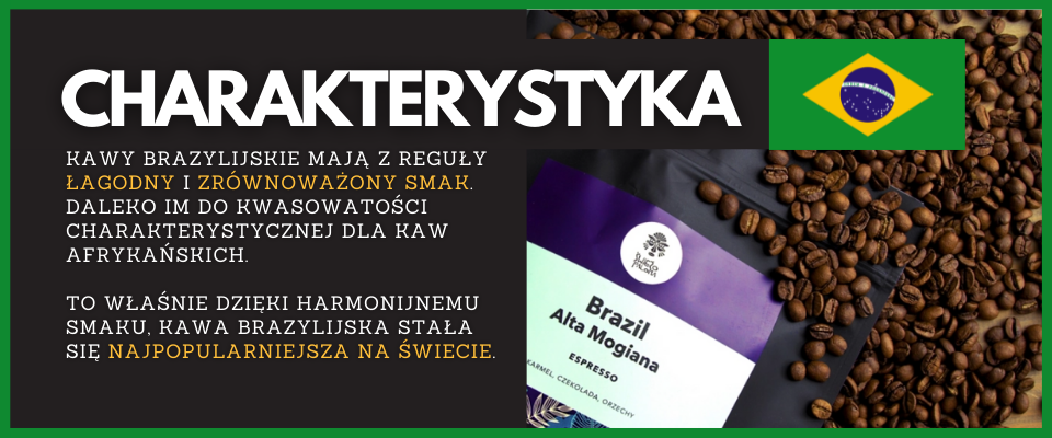 Charakterystyka kaw brazylijskich