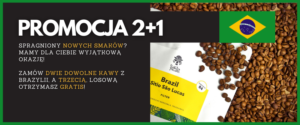Promocja 2+1